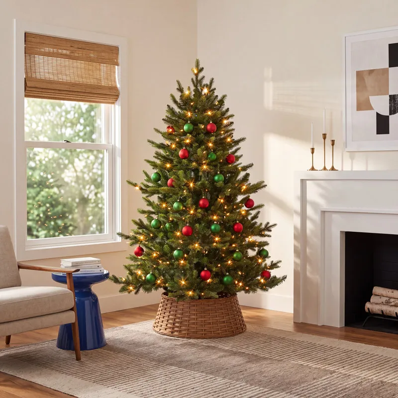 54' Lighted Fir Christmas Tree The Holiday Aisle