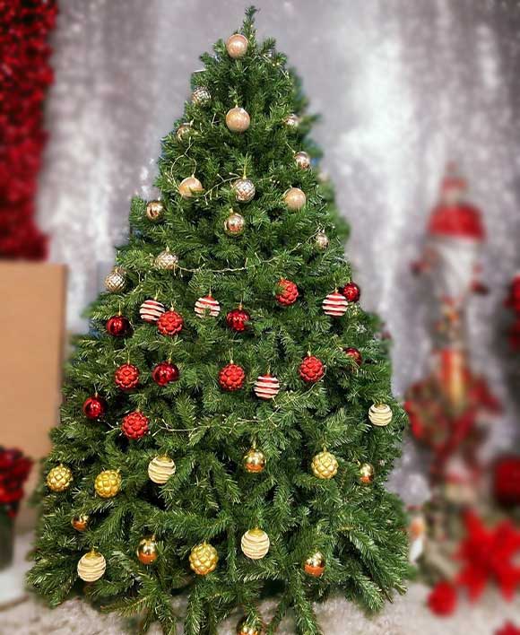 7 Feet Grand Fir Christmas Tree - The Perfect Christmas Tree