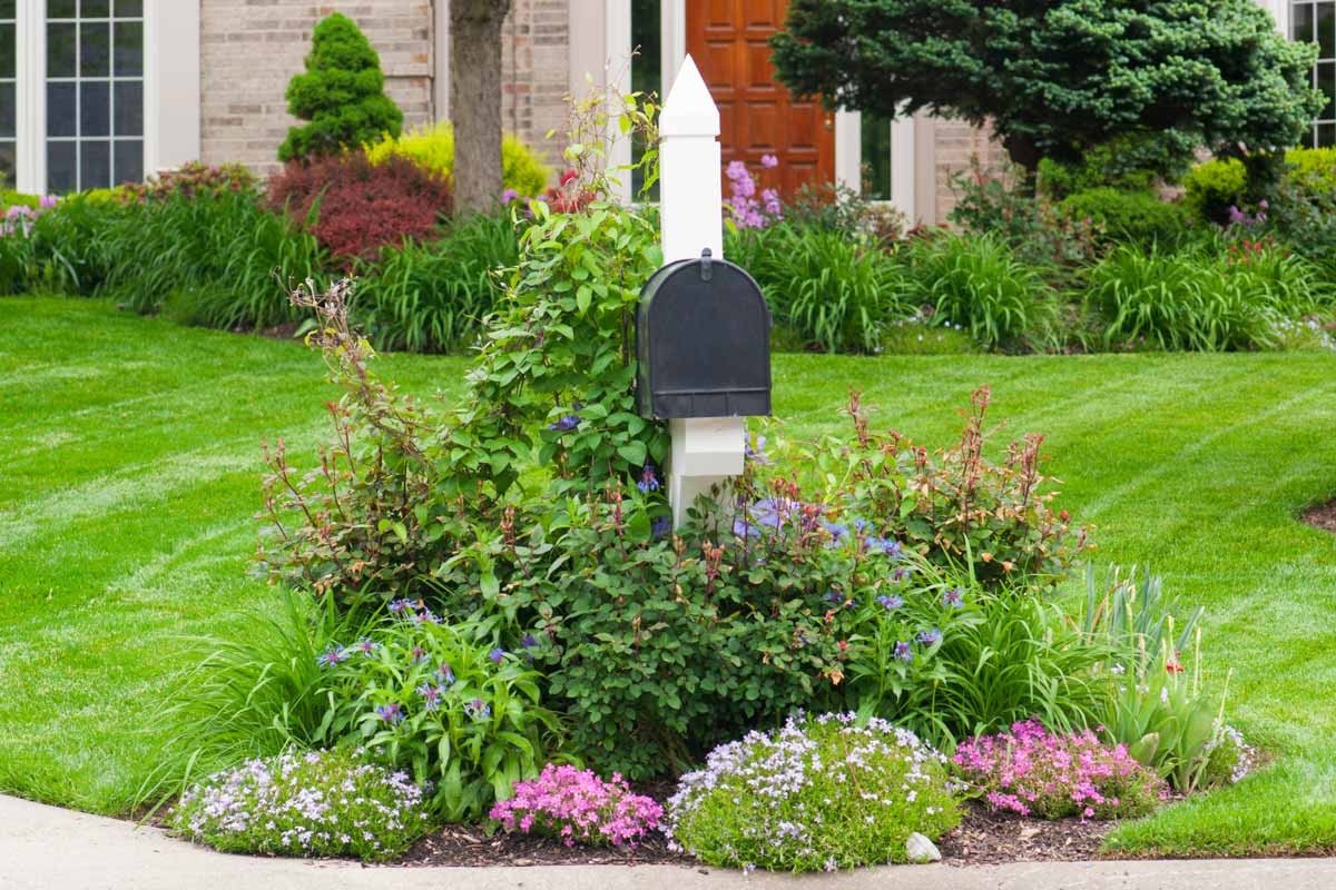 7 Mailbox Landscaping Ideas You'll Want to Copy