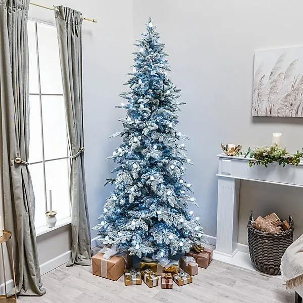 8.5ft Buckingham Fir Artificial Pre-Lit Frosted PE Christmas Tree