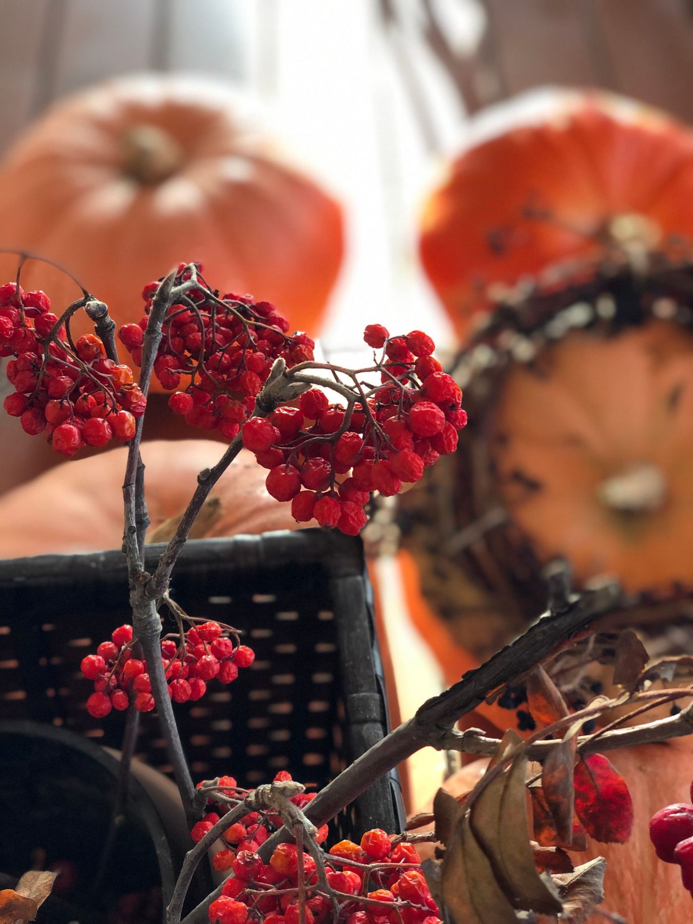 A beautiful display of autumnal decorations featuring pumpkins and red berries, perfect for seasonal themes.