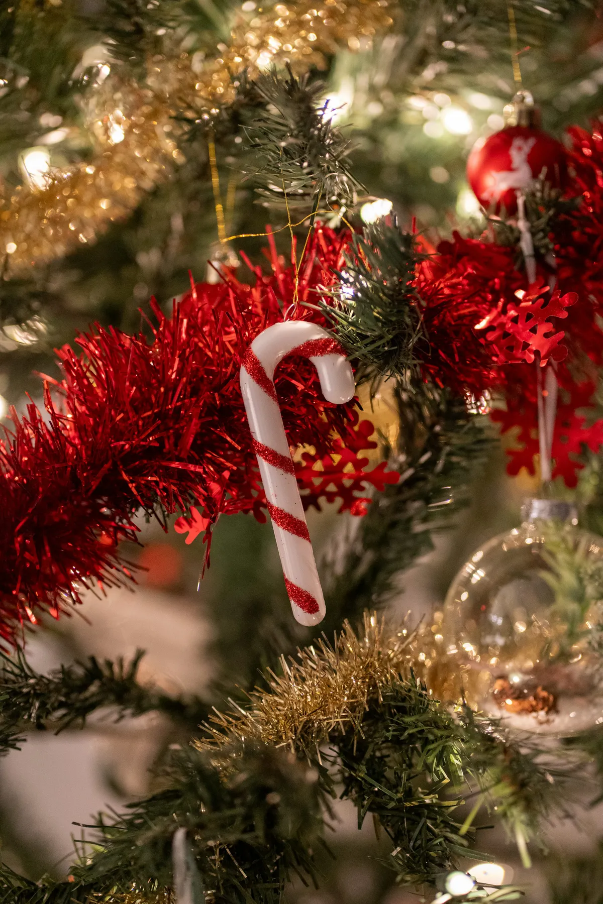 A close up of a christmas tree with a candy cane - Free Photo on Unsplash
