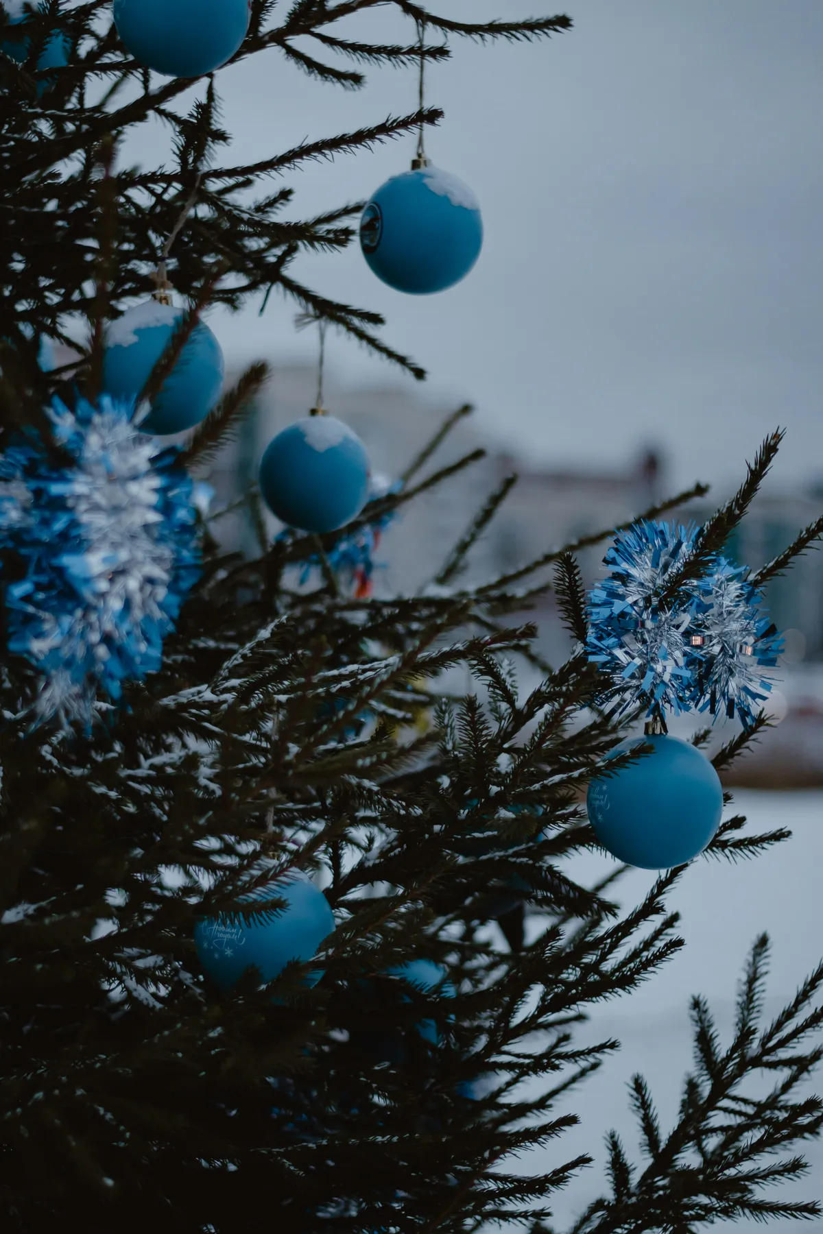 A close up of a christmas tree with blue ornaments - Free Photo on Unsplash
