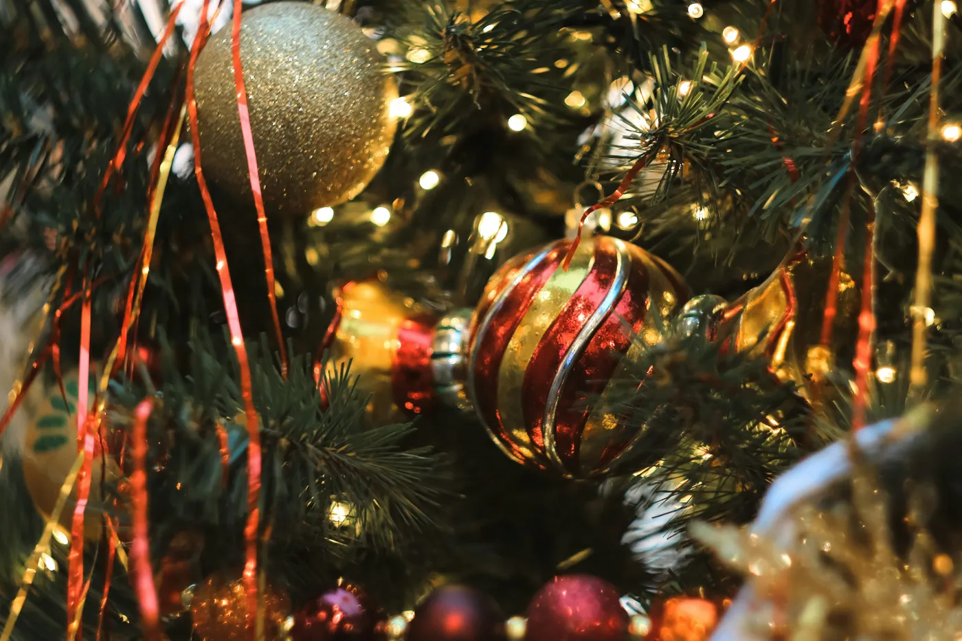 A close up of a christmas tree with ornaments - Free Photo on Unsplash