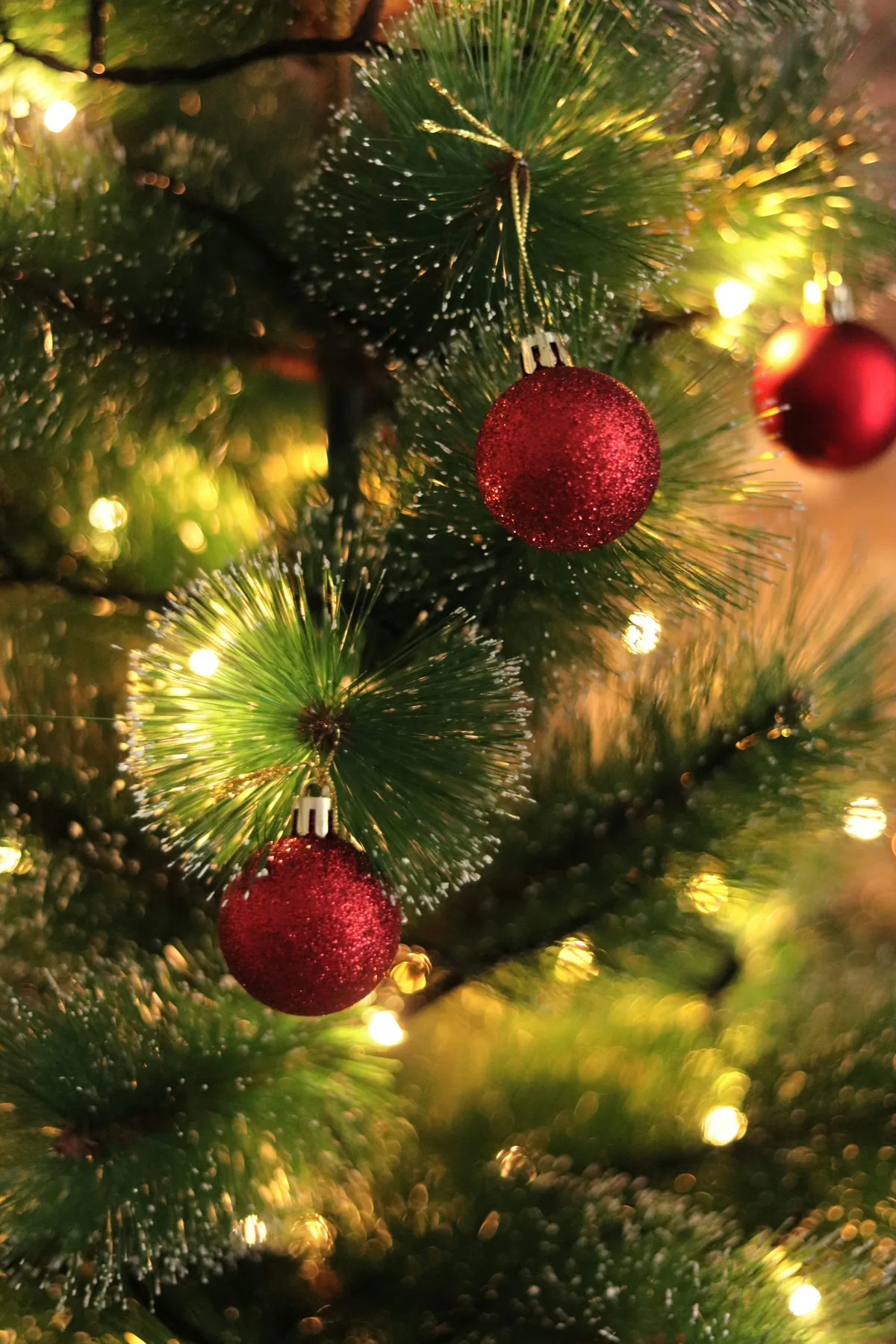 A close up of a christmas tree with ornaments - Free Photo on Unsplash