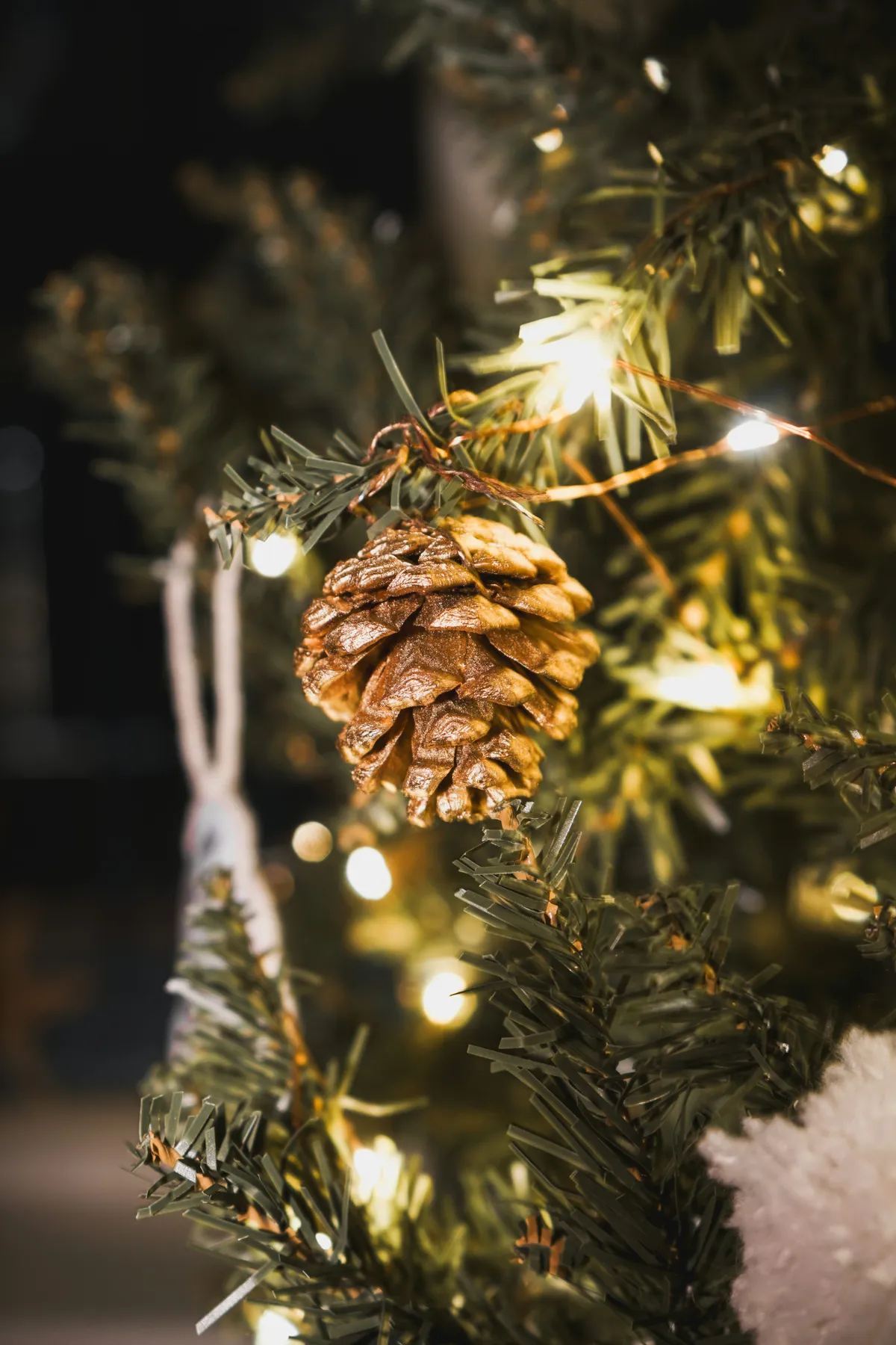 A close up of a pine cone on a christmas tree - Free Photo on Unsplash