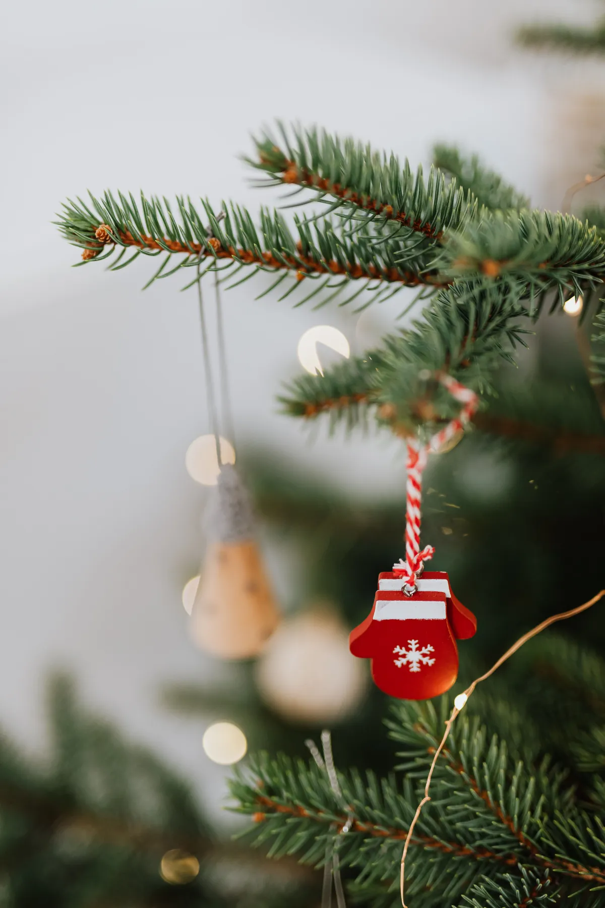 A Close-Up Shot of a Christmas Ornament · Free Stock Photo