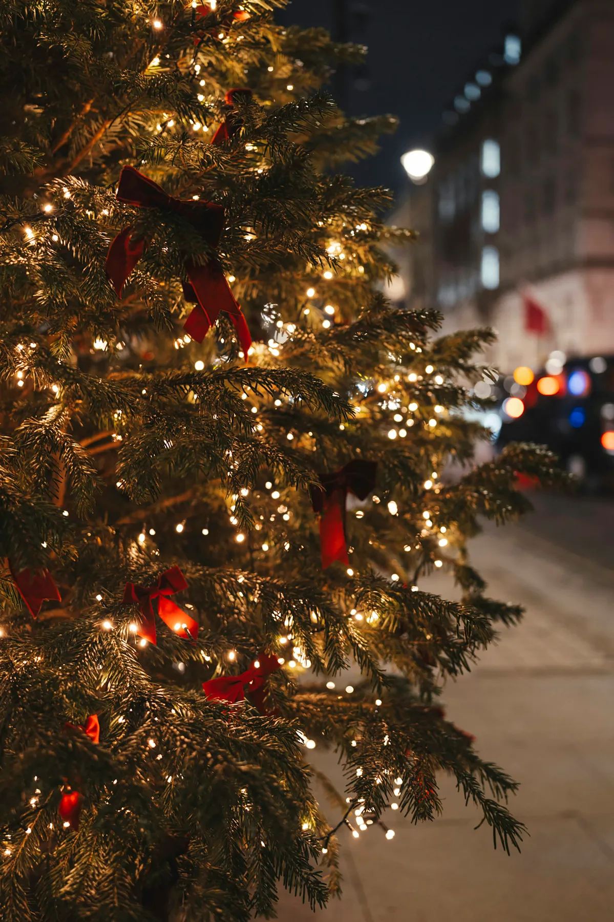 A decorated christmas tree with warm lights at night - Free Photo on  Unsplash