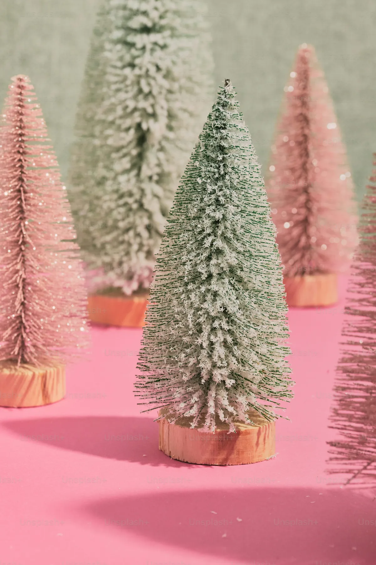 A group of small trees sitting on top of a pink surface - Photo on Unsplash+