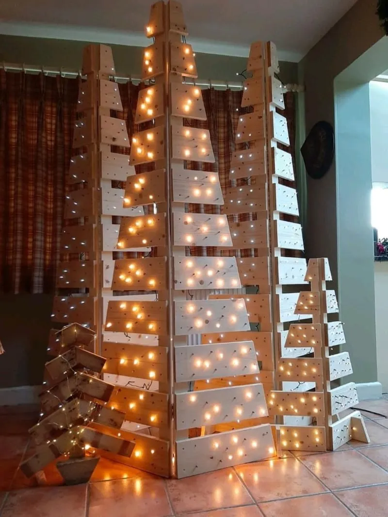 A guide to choosing the best Christmas tree for your home – The Irish Times