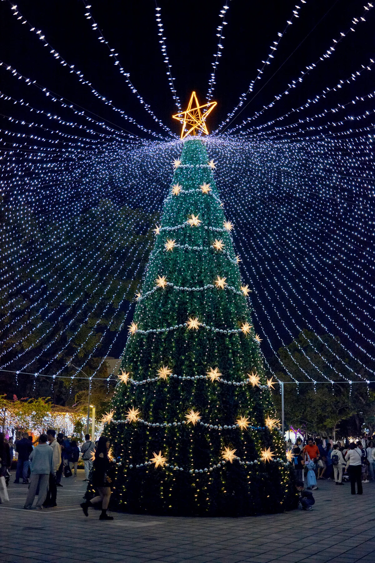 A large decorated christmas tree with many lights - Free Photo on Unsplash