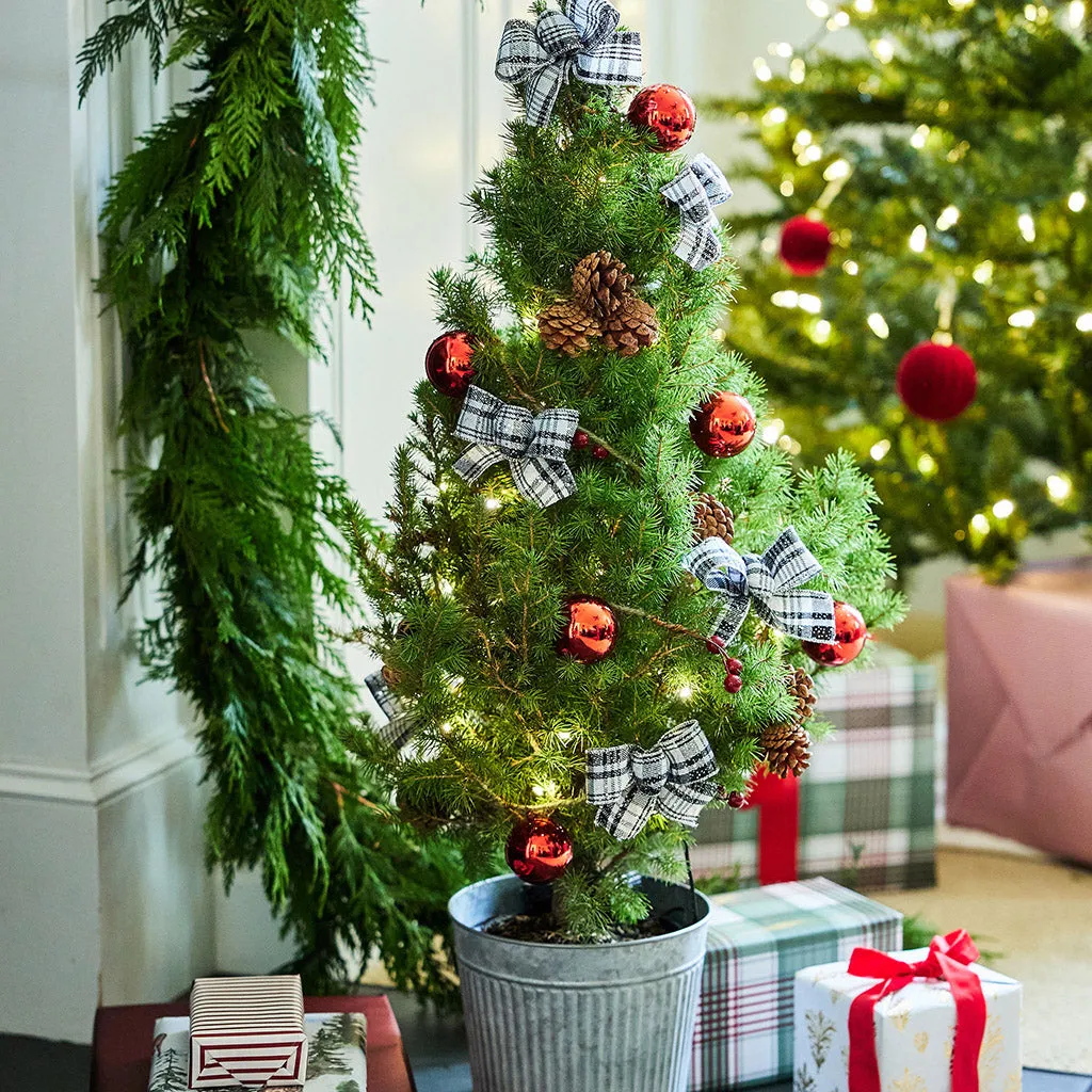 A Little Mini Christmas Tree Luxury for the Holidays: The Real Mini Ch –  Lynch Creek Farm