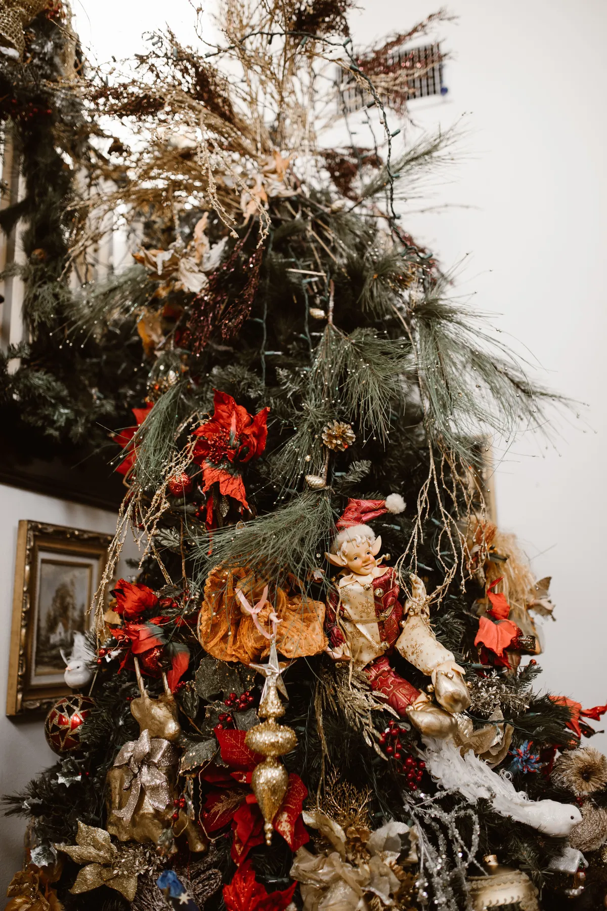 A lush Christmas tree decorated with golden ornaments and red poinsettias indoors.