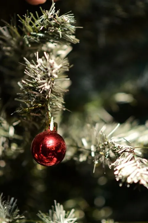 A Macro Photo of a Red Christmas Ball · Free Stock Photo