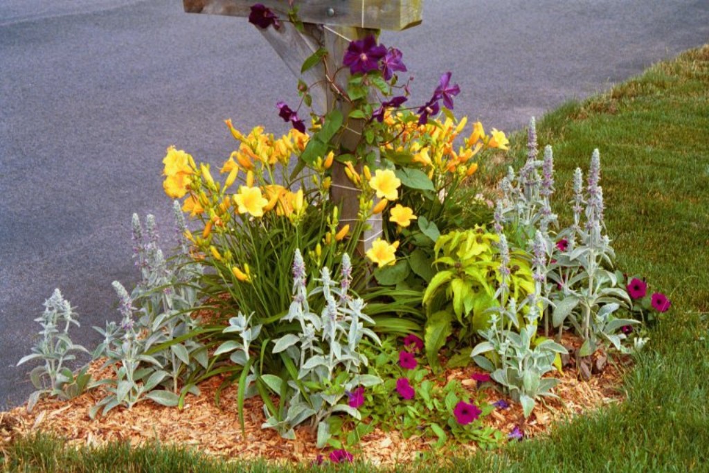 A Mailbox Garden