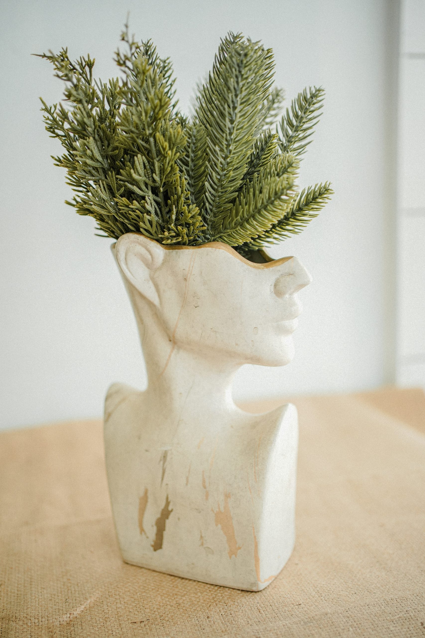 A plant is in a head-shaped vase