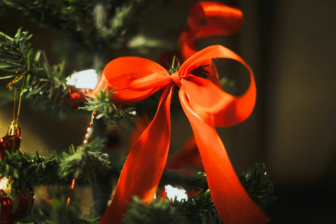 A red ribbon tied on a christmas tree