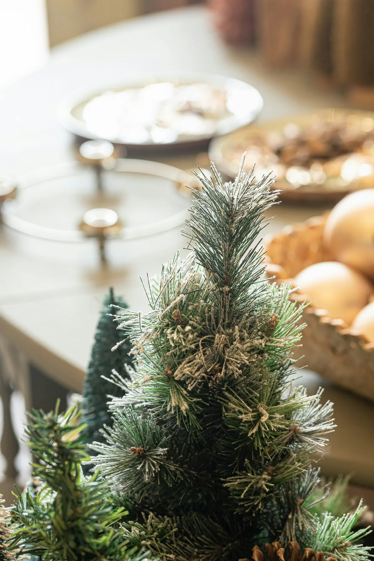 A small christmas tree sitting on top of a table - Free Photo on Unsplash
