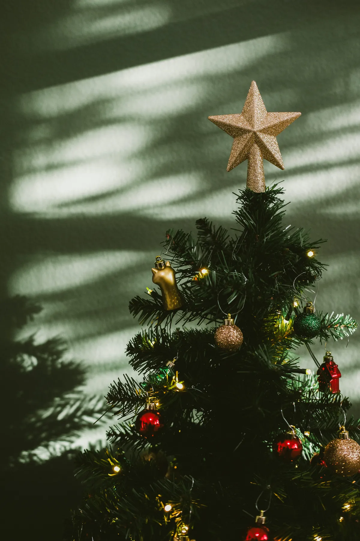 A small christmas tree with a star on top - Free Photo on Unsplash