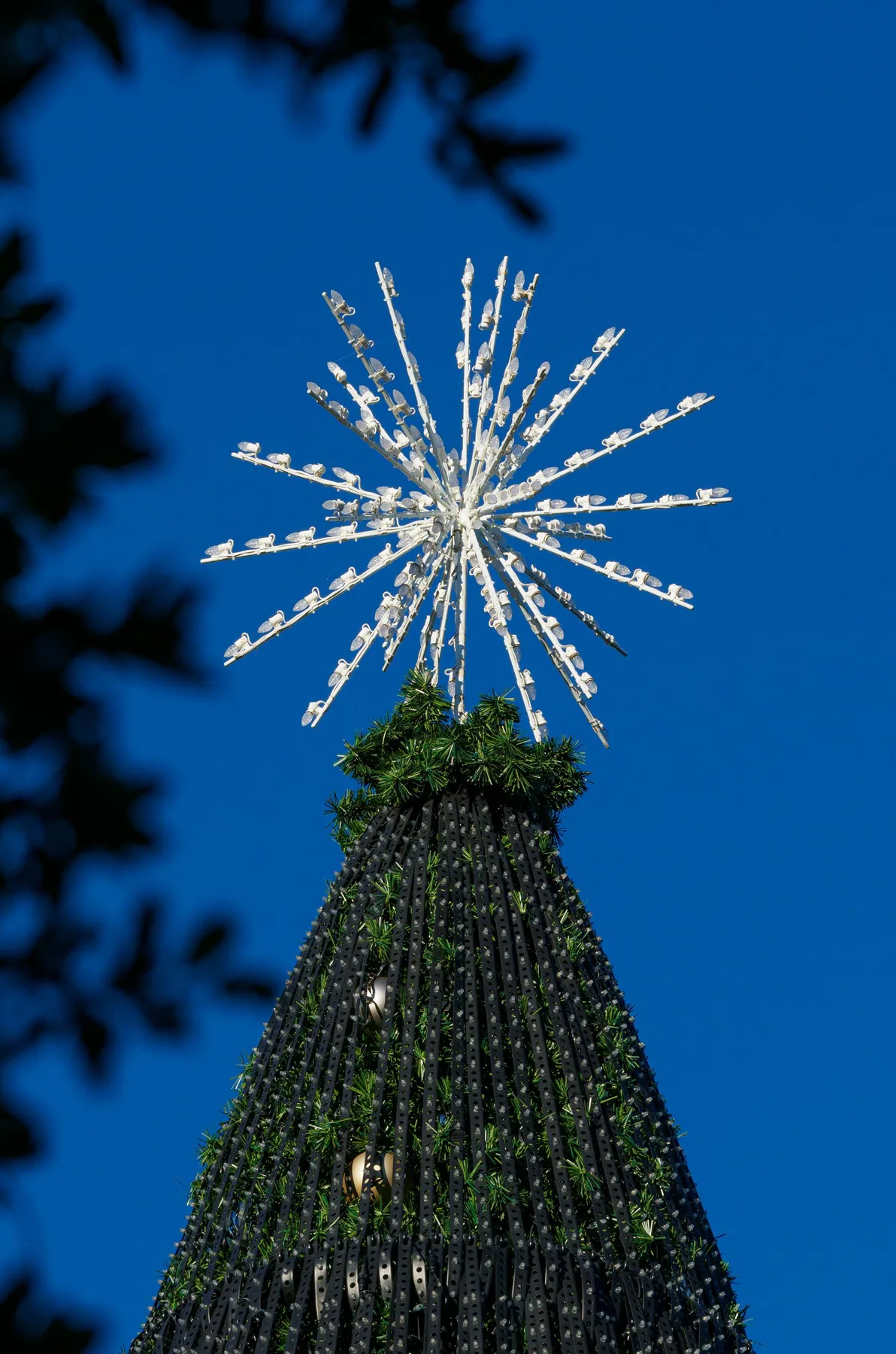 A tall Christmas tree with a sparkling star topper set against a clear blue sky, capturing festive elegance.