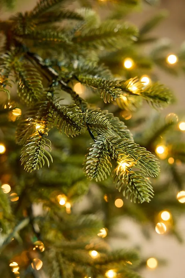 Artificial Pre-Lit Alpine Fir | Terrain