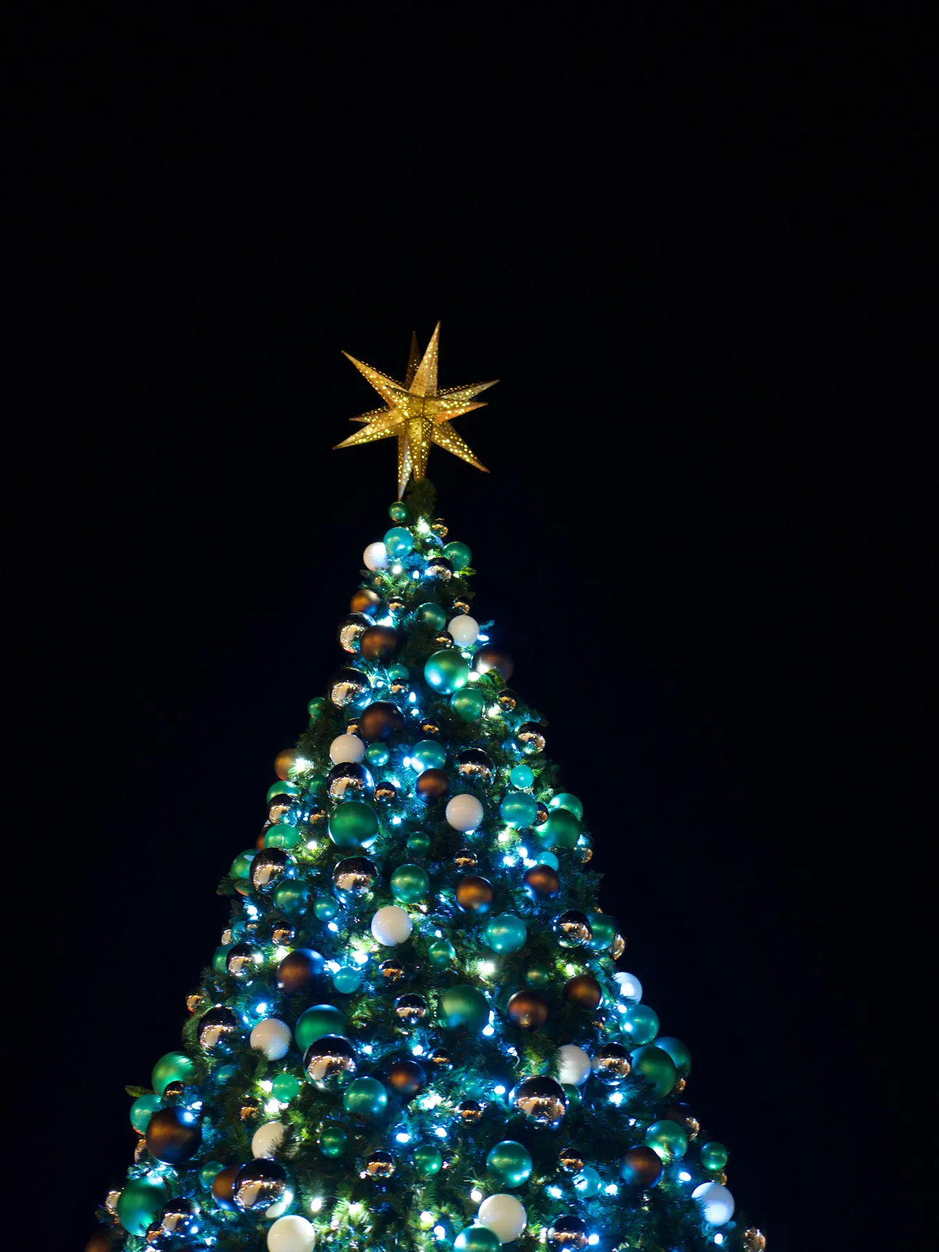 Beautifully decorated Christmas tree with a star topper against a night sky in White Marsh, MD.