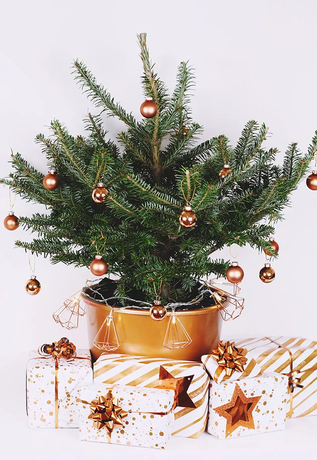 Becky Bedbug: A Very Copper Christmas