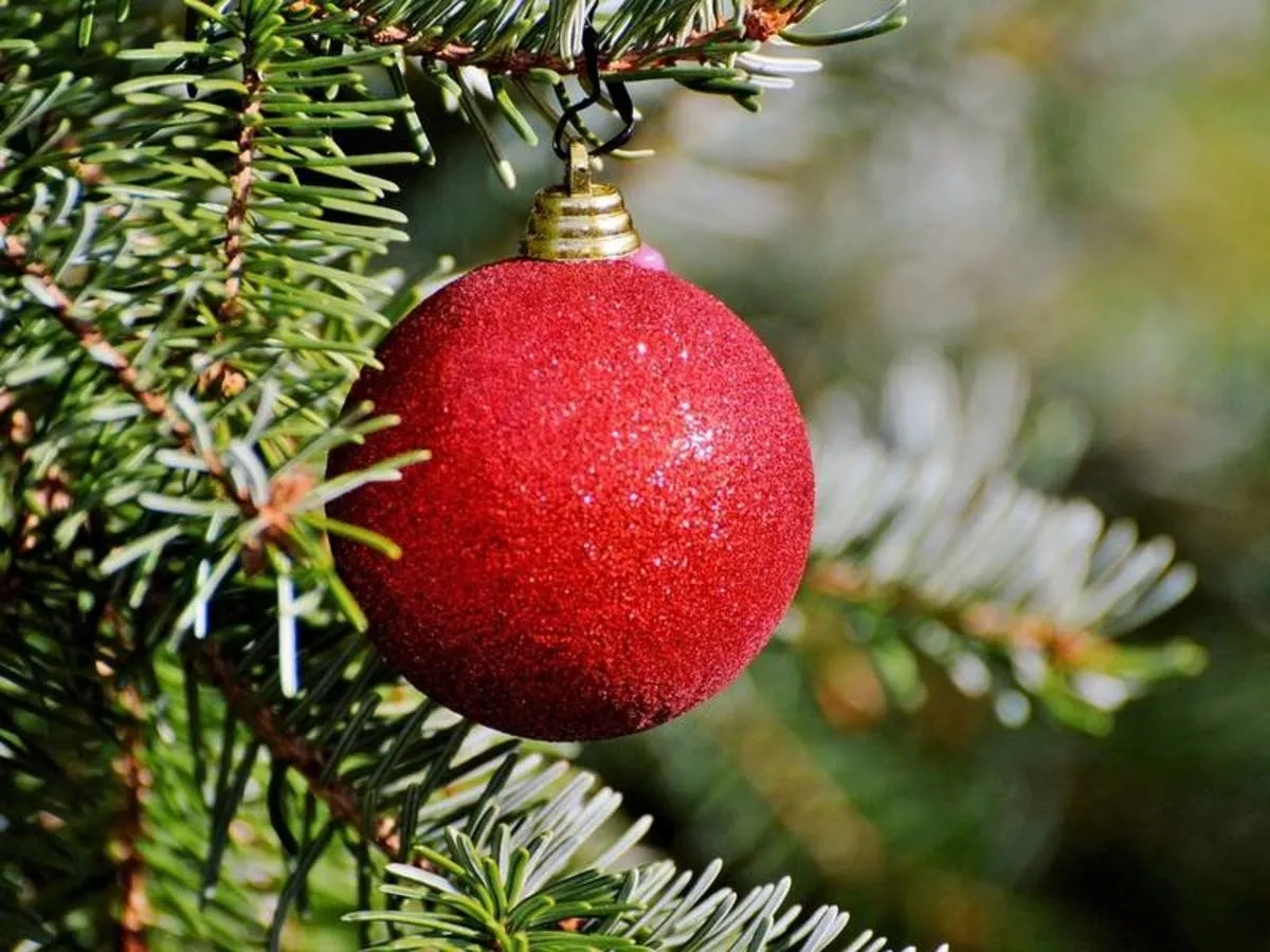 Belmont Tree Lighting Ceremony 2017 Details | Belmont, MA Patch