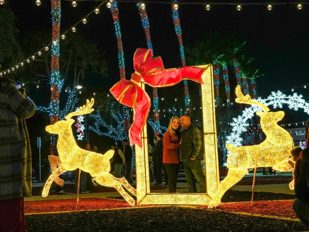 Best Outdoor Christmas Lights 2026 | Commercial Guide | St Nicks – St. Nicks Christmas Lighting