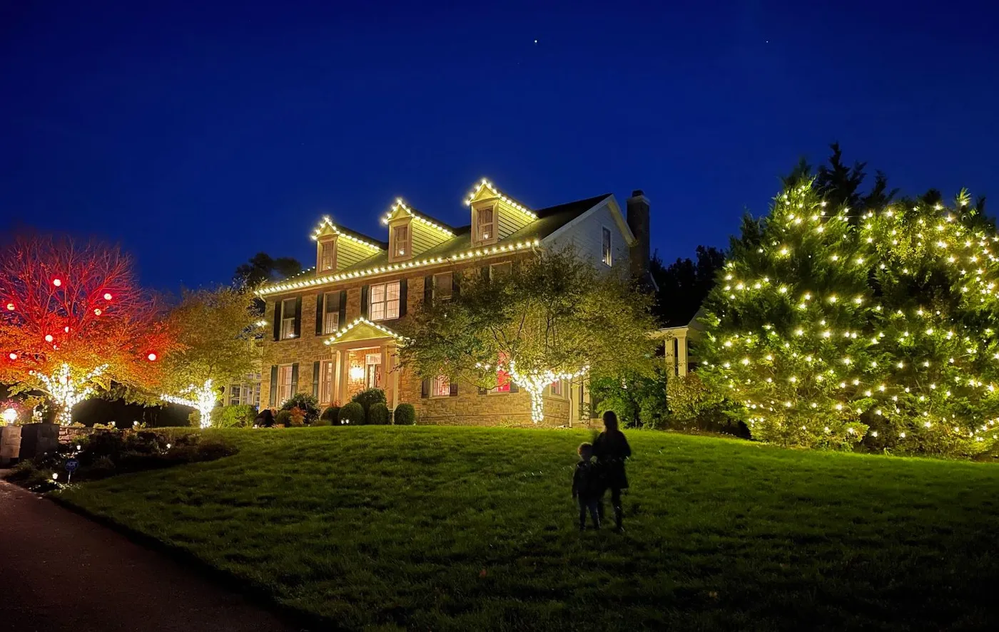 Blog - Revive Holiday Lighting