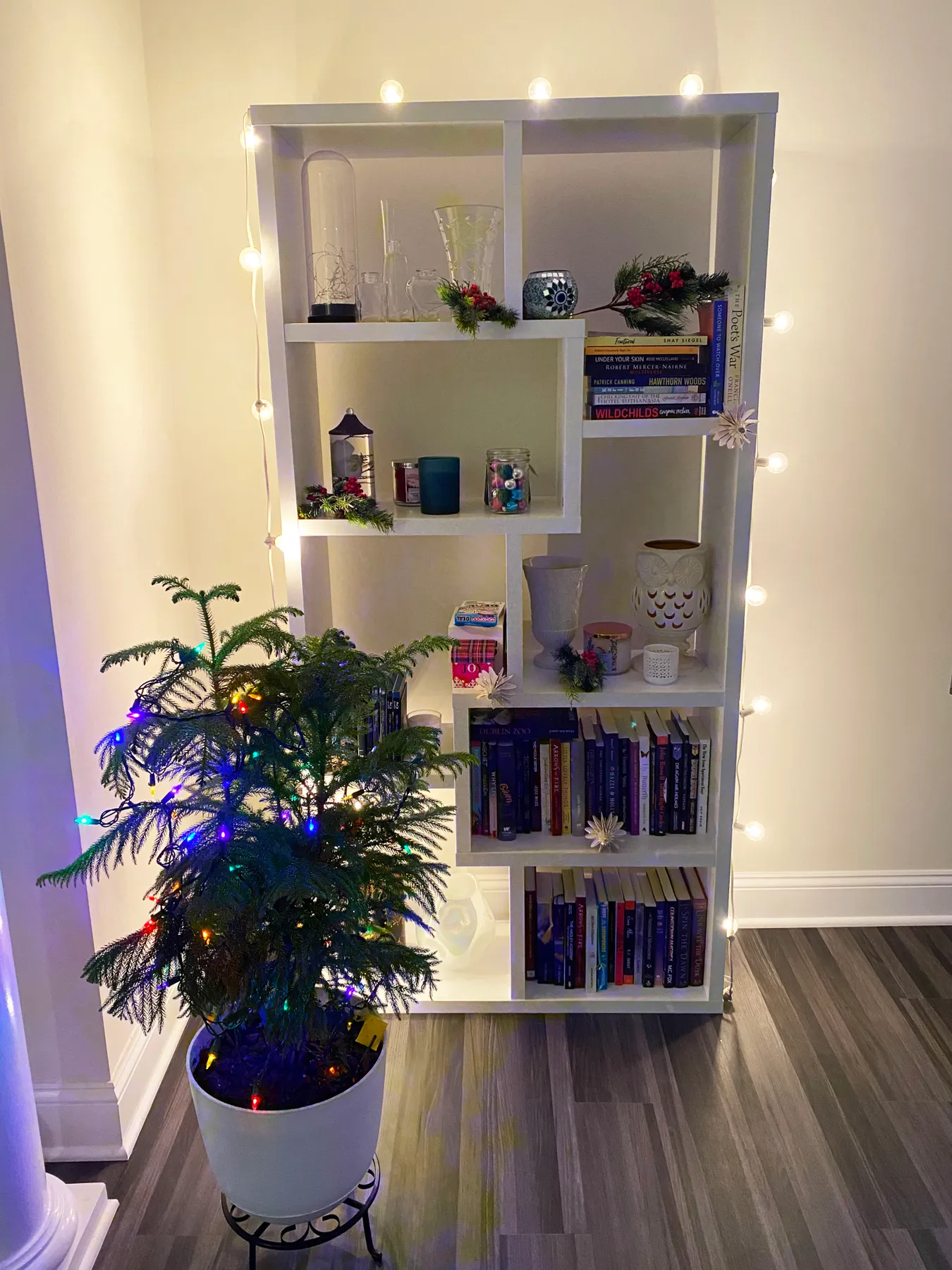Bookcase Decorated for Christmas – Life According to Jamie