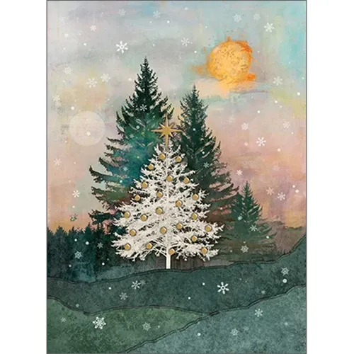 Boxed Christmas Cards with Winter Nature Scenes | Shop Online | PaperCards.com