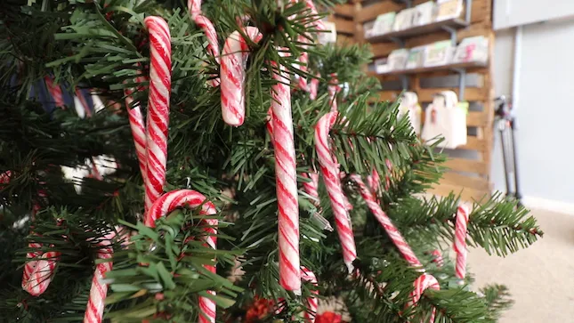 Candy cane tree in Burgaw shop will help give back to hurricane victims for the holidays