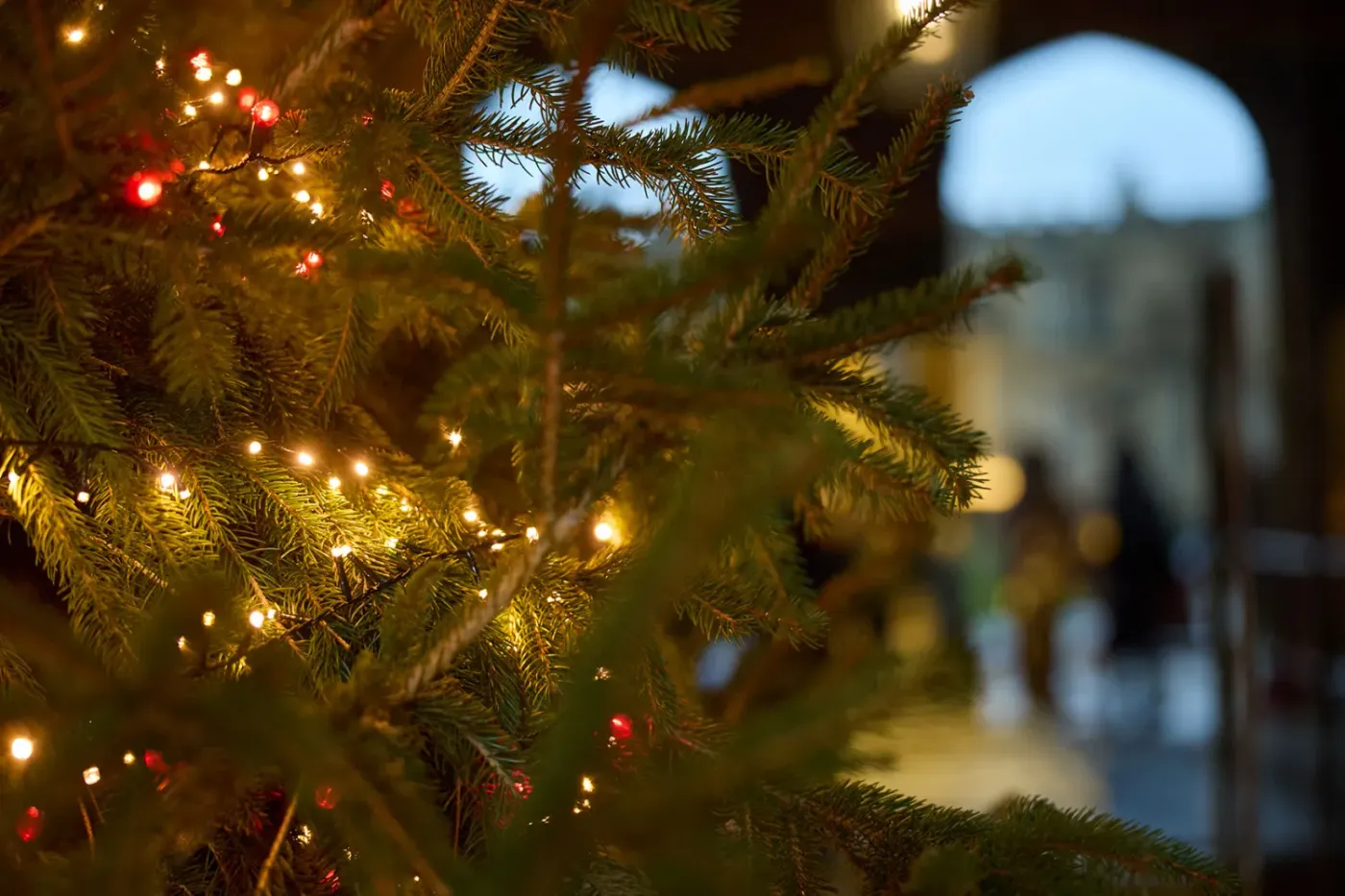 Cathedral Christmas events, services and concerts | Christ Church,  University of Oxford