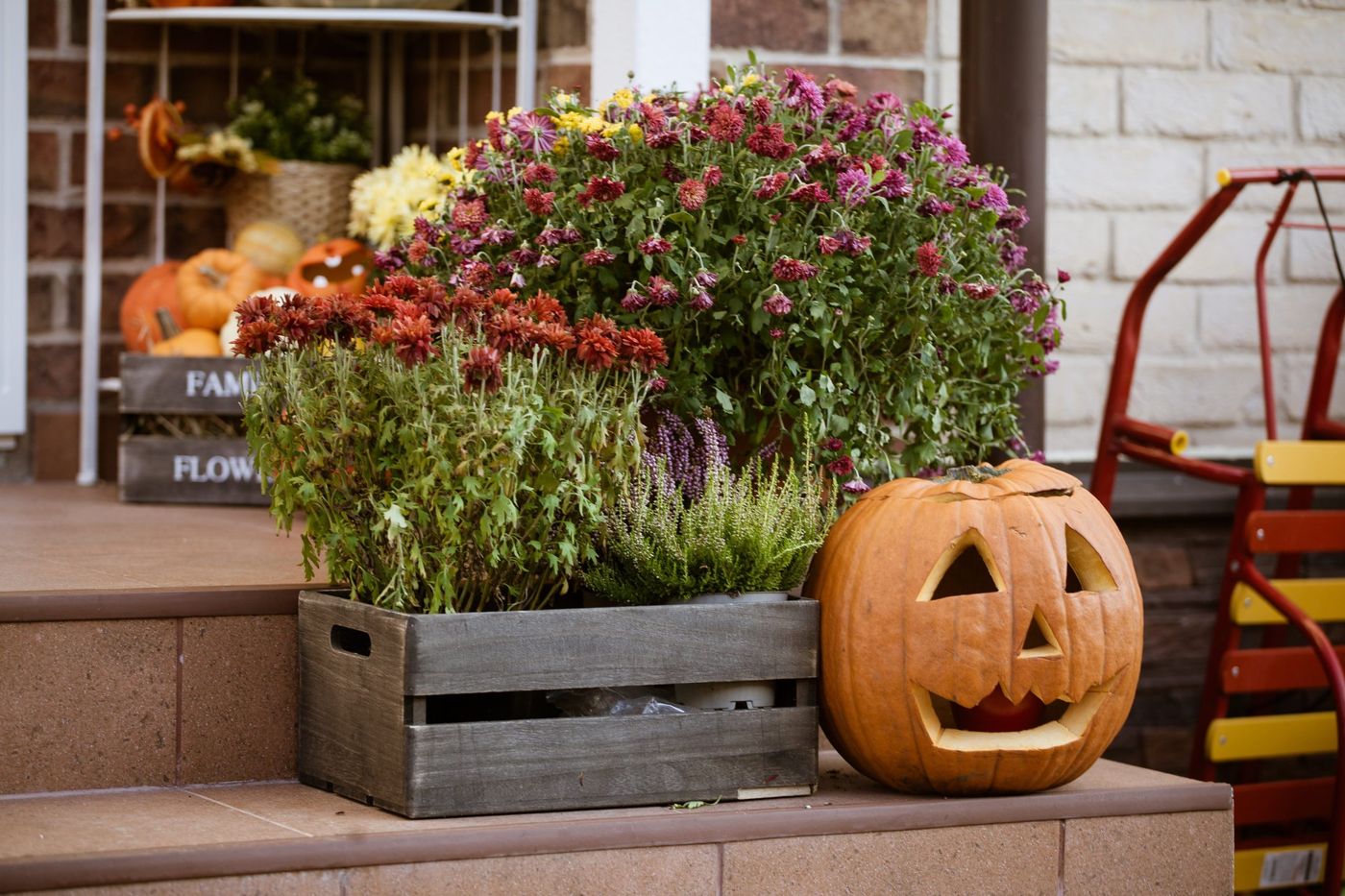 Charming autumn porch decor featuring a carved pumpkin and vibrant chrysanthemums.