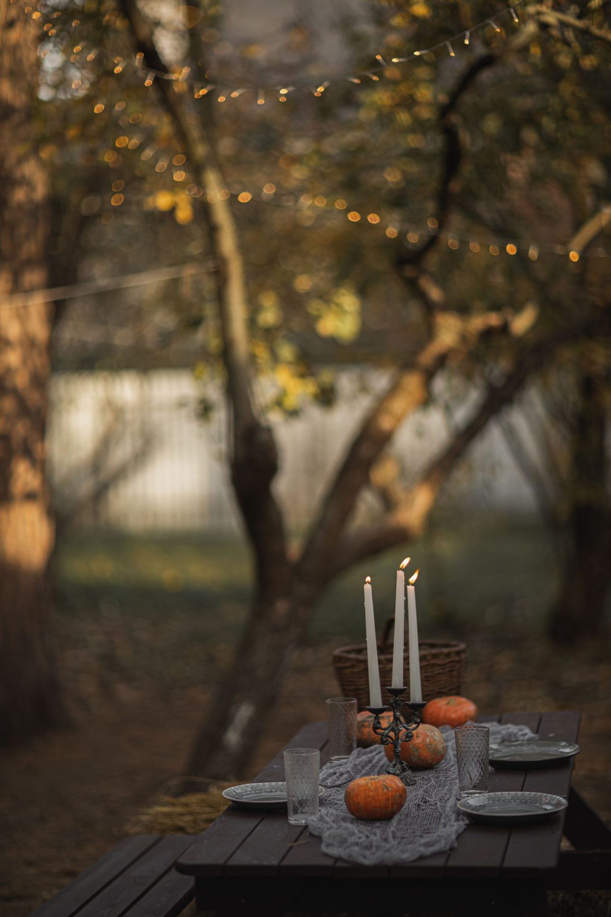 Charming fall outdoor dining scene with pumpkins and candlelight, perfect for seasonal gatherings.