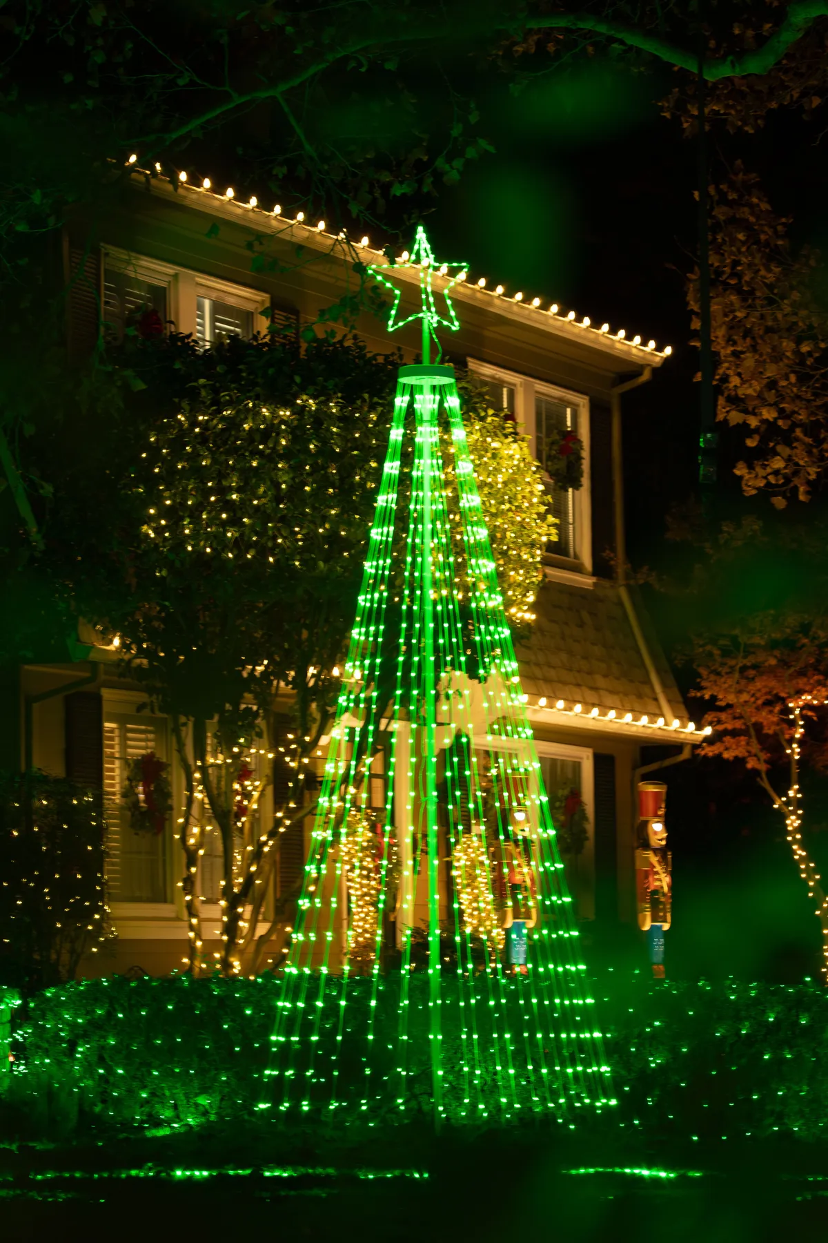 Cheerful holiday lights illuminate a Sacramento home, highlighting a vibrant green light tree.