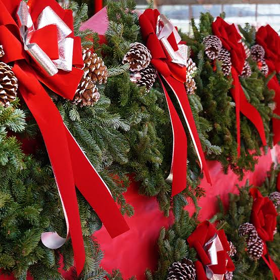 Christmas Cheer & Decor in Shelby Township, MI | Diegel's Greenhouse