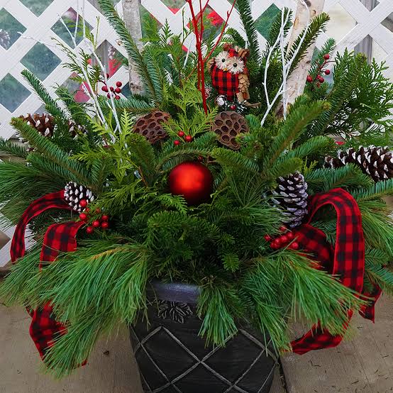 Christmas Cheer & Decor in Shelby Township, MI | Diegel's Greenhouse