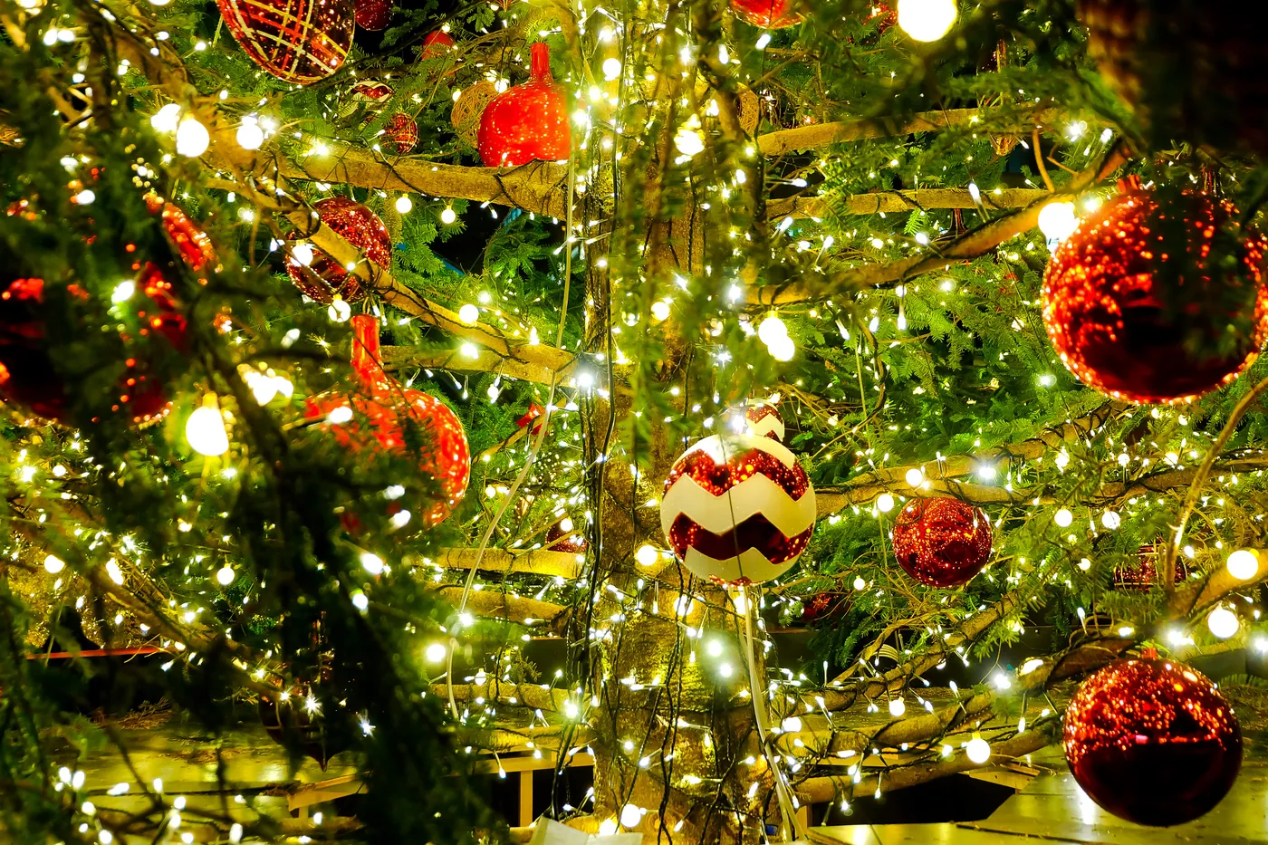 Christmas decoration in the tree