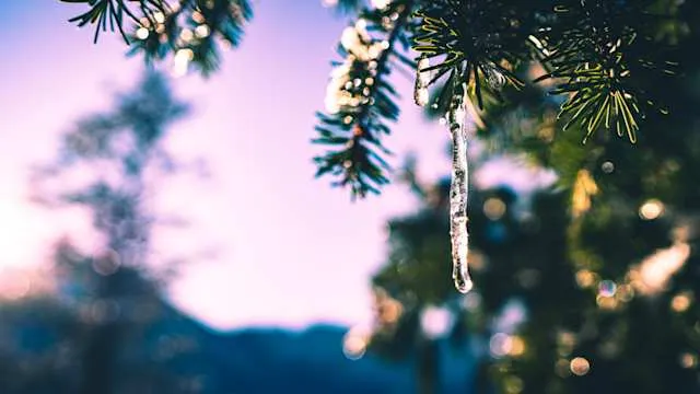 Christmas Lights in Colorado | Plum Guide