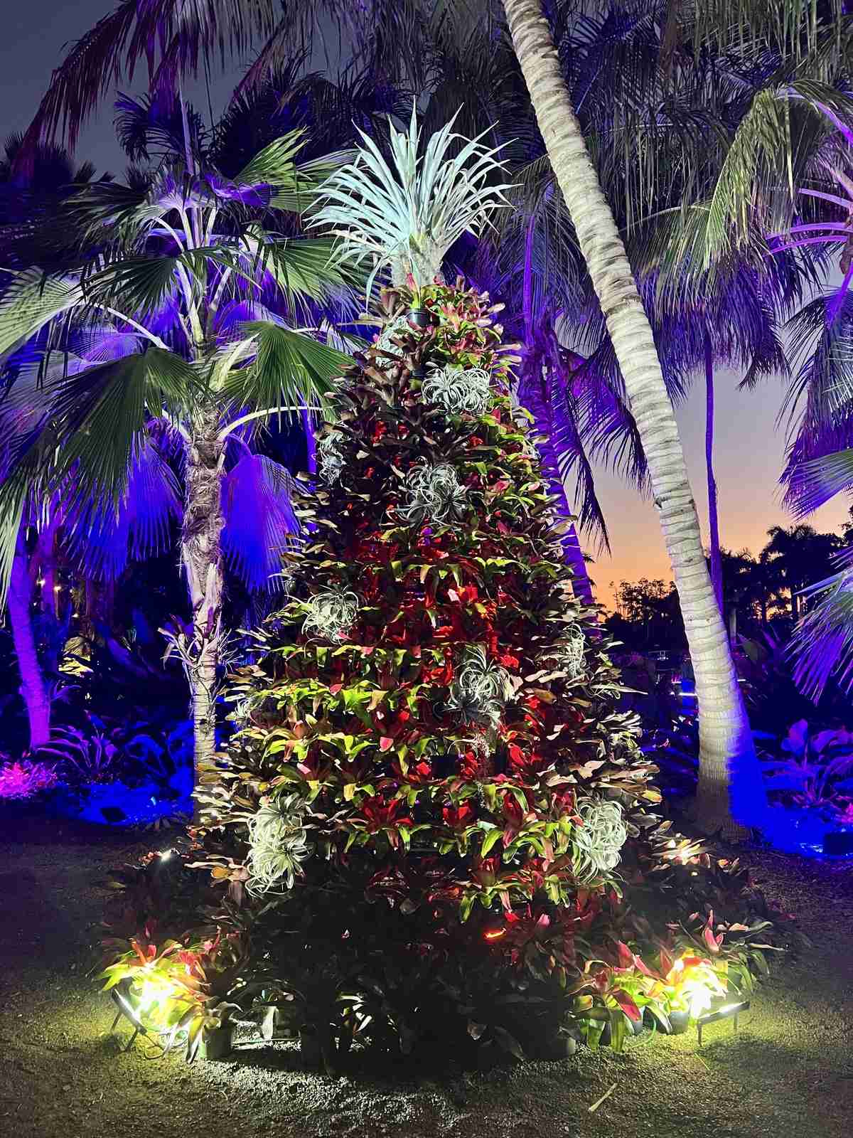 Christmas Lights in Naples Florida You'll Want to Check Out With the Family
