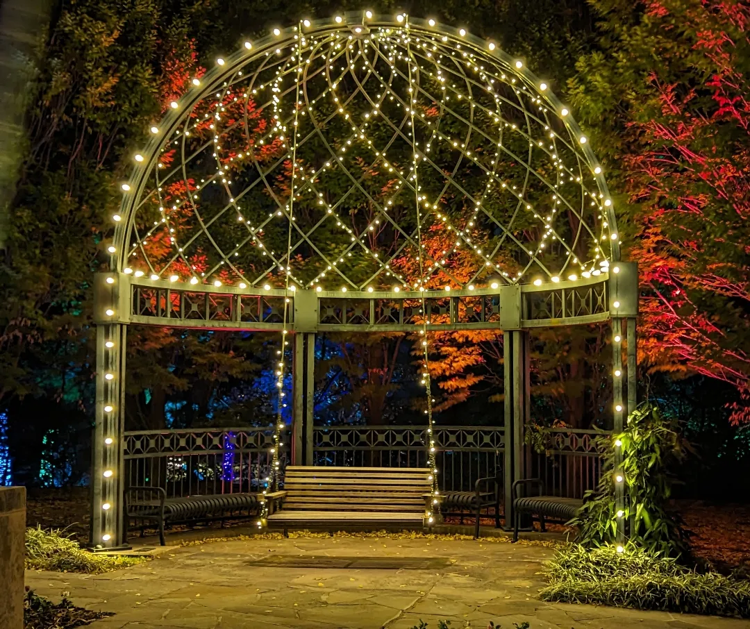 Christmas Lights in Tulsa | Proactive Landscaping