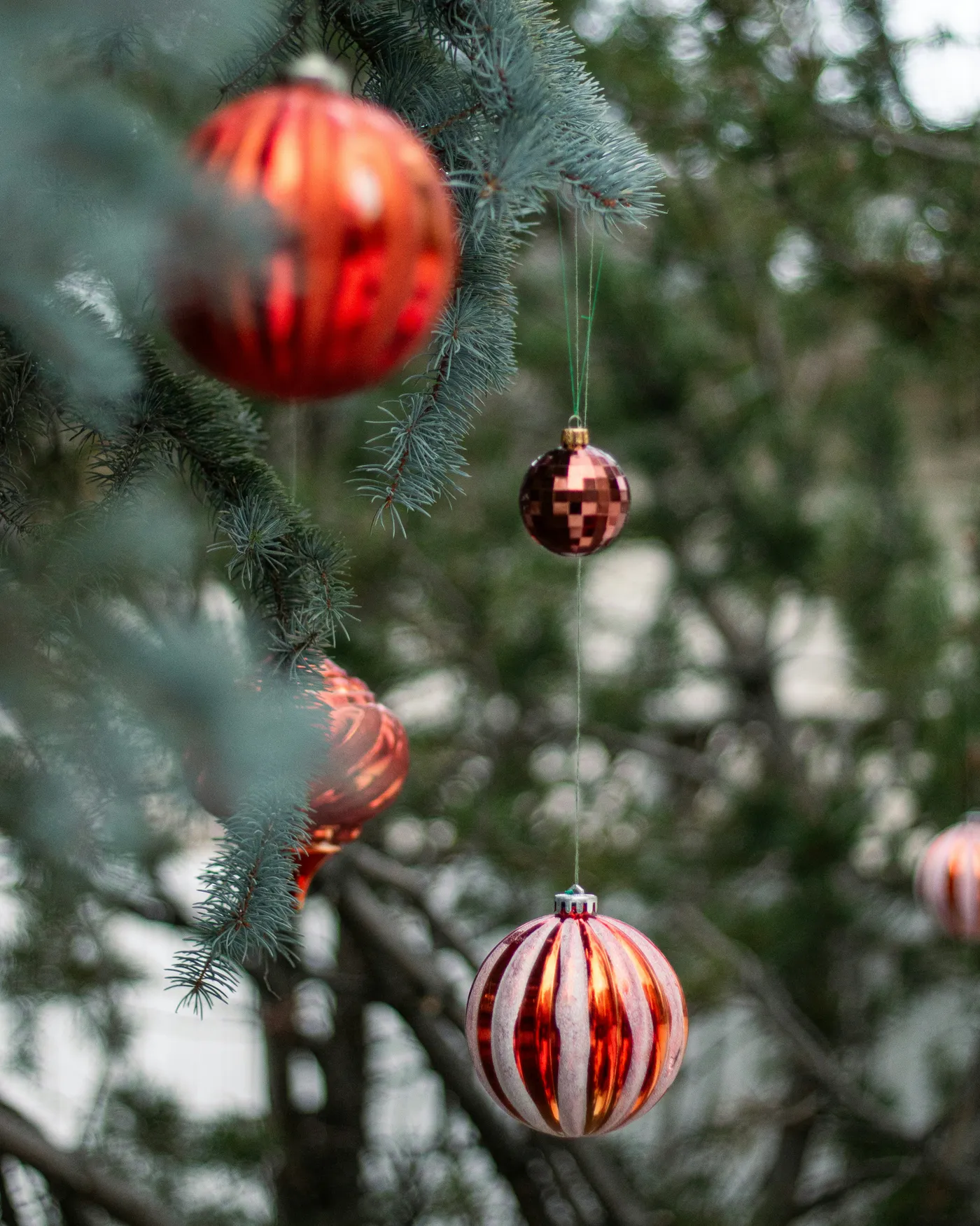 christmas ornaments hanging from tree looking festive