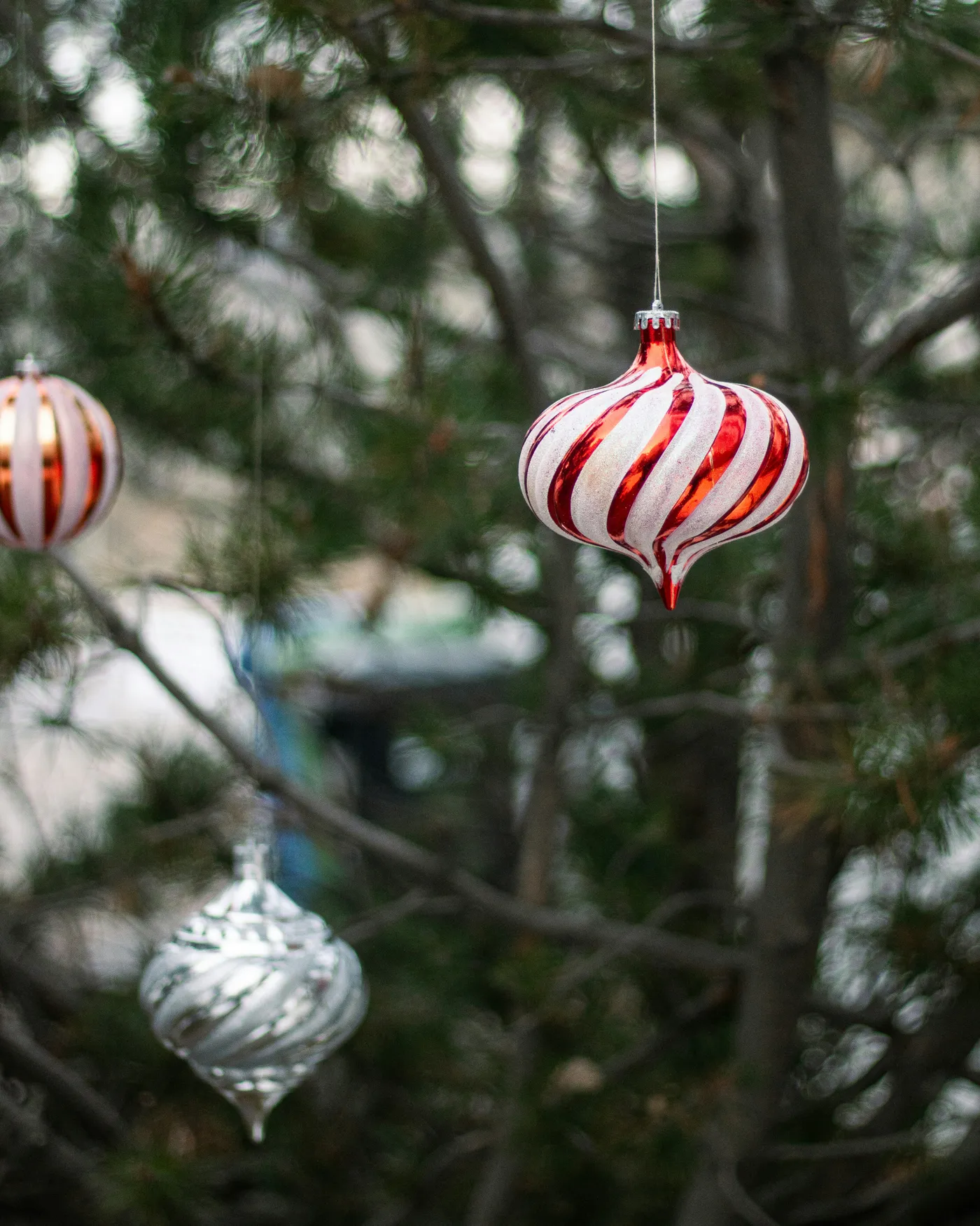 christmas ornaments hanging from tree looking festive