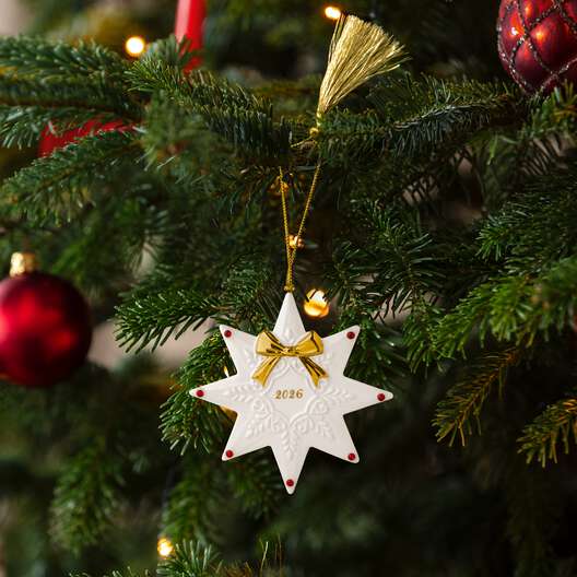 Christmas tree decorations: Christmas baubles & elegant Christmas tree  ornaments