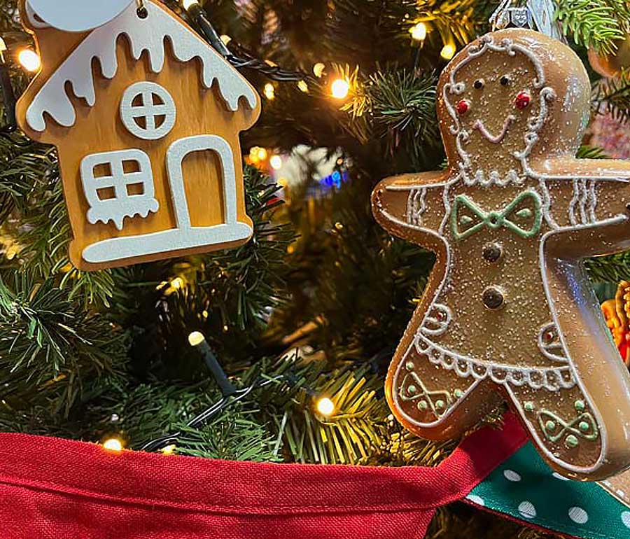Christmas Tree Patch Magic Holiday Seasonal Décor 43 Rustic Christmas Tree  Ideas That Feel Cozy And