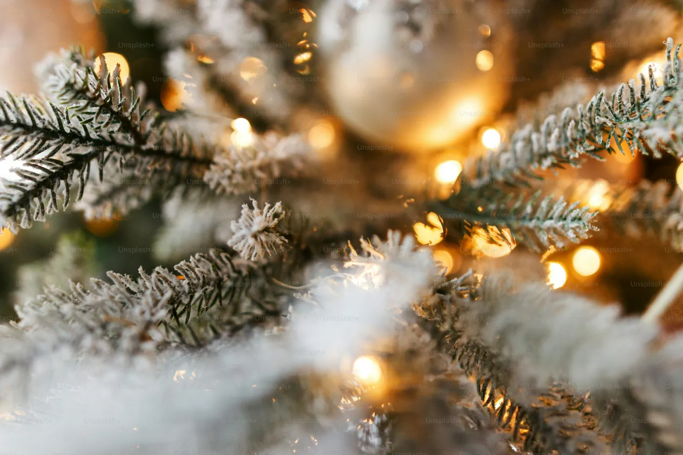 Christmas Tree Snow Pictures | Download Free Images on Unsplash