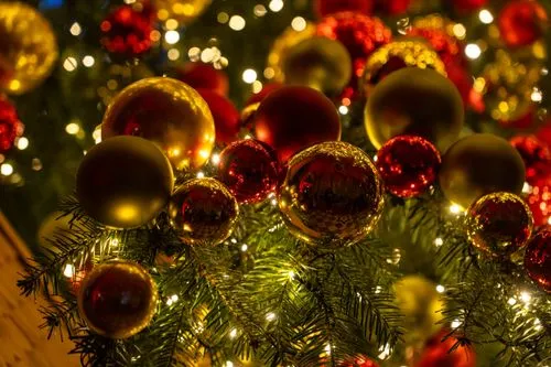Christmas Tree with Red and Gold Ornaments · Free Stock Photo