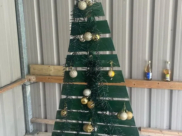 christmas trees | 12 Art & Decorations Ads For Sale in Ireland | DoneDeal